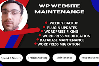 do wordpress maintenance, website update and support also