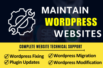 provide maintenance and support for your wordpress website