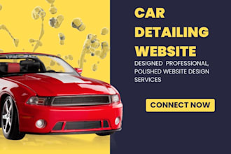 do professional car detailing website design