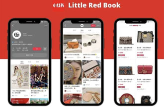 do excellent little red book marketing in china marketing