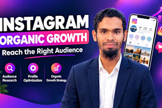 do organic instagram promotion with targeted audience