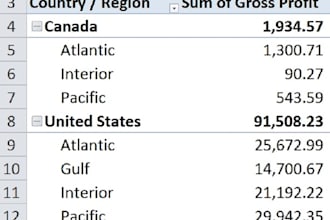 create graphs, pivot tables, perform vlookup and excel graphs