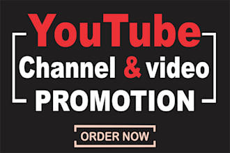 do fast organic youtube video promotion and channel promotion