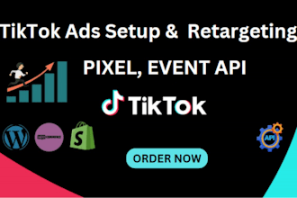 tiktok pixel event API, ads campaign setup and server side tracking