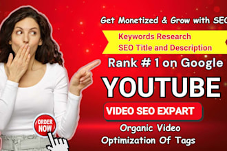 be best youtube video SEO expert optimization