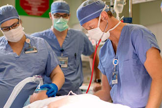 do nursing, public health and medicine, pharmacy tasks