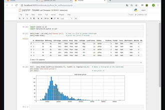 do data cleaning and data analysis using python excel, charts