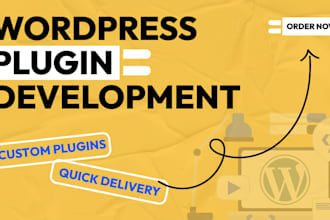 do wordpress plugin development and modification