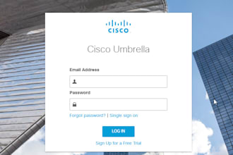 setup and troubleshoot the cisco umbrella dns