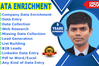 do data enrichment, data entry and company data entry