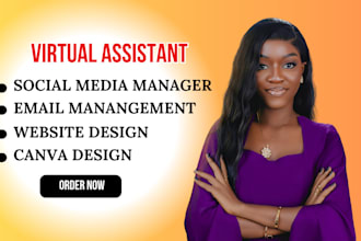 social media virtual assistant for instagram and linkedin