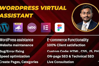 provide expert wordpress maintenance and bug fixes