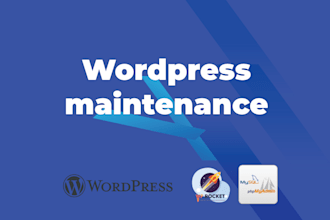 website maintenance wordpress update