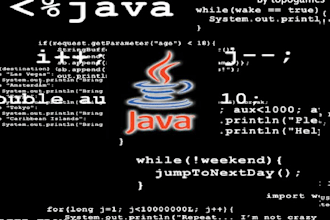 do your java assignment and any java project