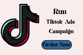 run tik tok ads, tik tok ads manager, and tiktok marketing