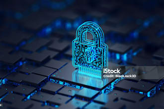 perform vulnerability assessment and penetration testing