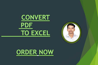 convert pdf to excel, pdf to word or data entry