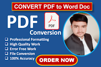 convert PDF to excel, scan PDF to word, data entry, retype pages