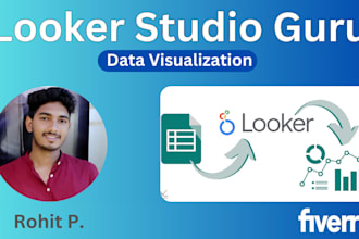 provide google data studio and looker dashboards