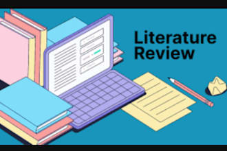 do research and summary writing, literature, review, case study, reports