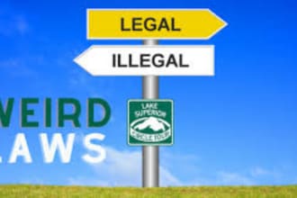 do UK law essays, legal research, legal writing, legal essays