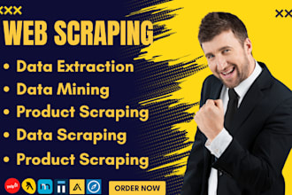 do data entry, data mining, web scraping and data extraction