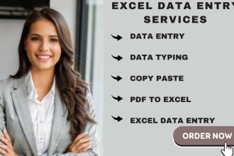 do excel data entry, data entry, copy paste, typing and convert pdf to excel