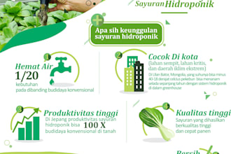 create attractive infographic designs in vector form