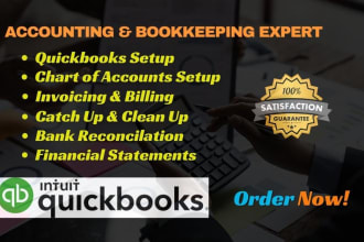 setup,catch up and do your bookkeepeing in quickbooks online