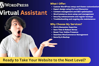 be your wordpress virtual assistant