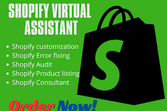 be shopify consultant shopify virtual assistant shopify marketing shopify audit