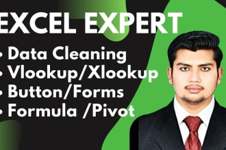 do excel automation, data entry, data repairing, cleaning, xlookup, vlookup