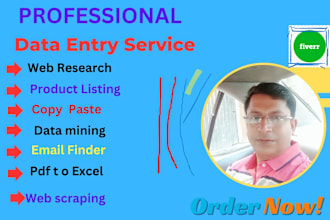 do typing job, data mining, data entry work, web scraping, web research to excel