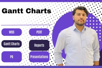 create gantt chart, wbs, pert, evm, network diagram, ms project