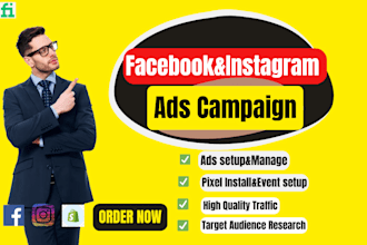 professional facebook and instagram ads campaign setup and management