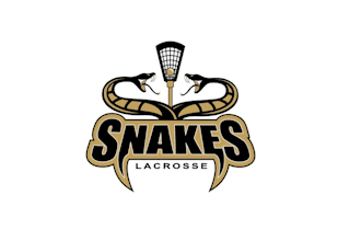 design a contemporary snake logo for your company
