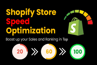 do shopify speed optimization on google pagespeed and increase store performance