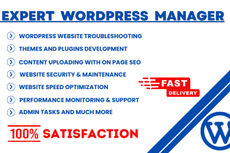 website maintenance, wordpress manager, or website handler