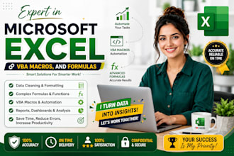 expert in microsoft excel, vba macros, and formulas