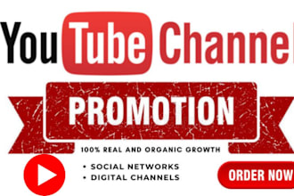 boost your youtube channel to millions audience with organic views and subs
