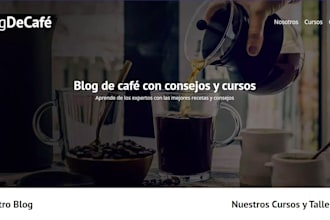 desarrollare y diseñare un sitio web moderno y profesional