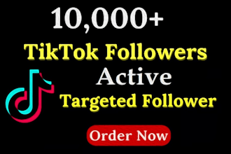 buy your tiktok followers fast