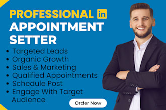 be your b2b linkedin marketing manager and  appointment setter