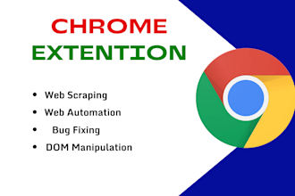 design and develop a professional chrome extension