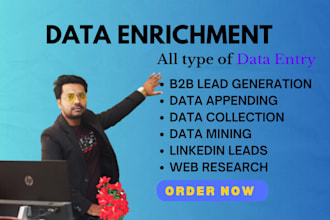 do data entry, data enrichment and b2b lead generation
