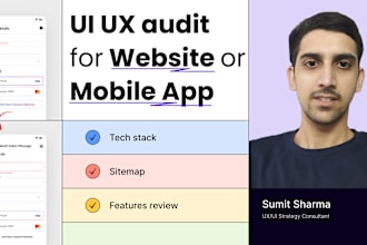 do a complete and in depth website audit for you