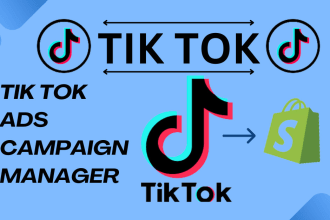 be your tiktok ads campaign manager, run tiktok ads campaign and do tiktok ads