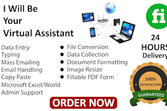 do fastest data entry, copy paste, typing, virtual assistant