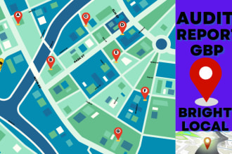 do bright local SEO audit with google business profile and gmb