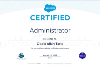 fully support you to become a salesforce admin and salesforce developer